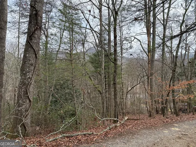 $27,500 | Lot 31 Ideal Acres, Otto, NC 28763
