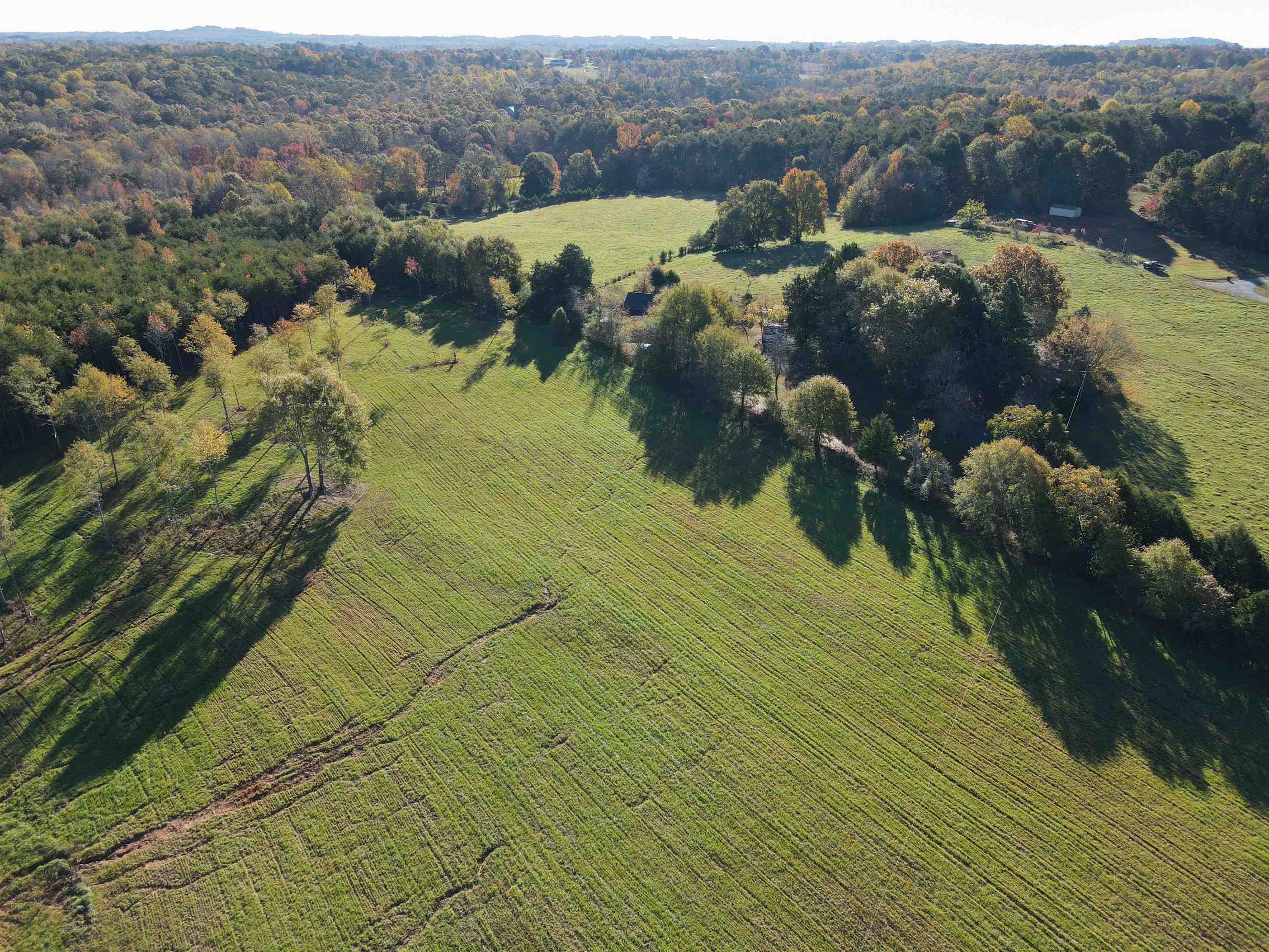 365 Waldrop Road Campobello, SC 29322 - Photo 5 of 20
