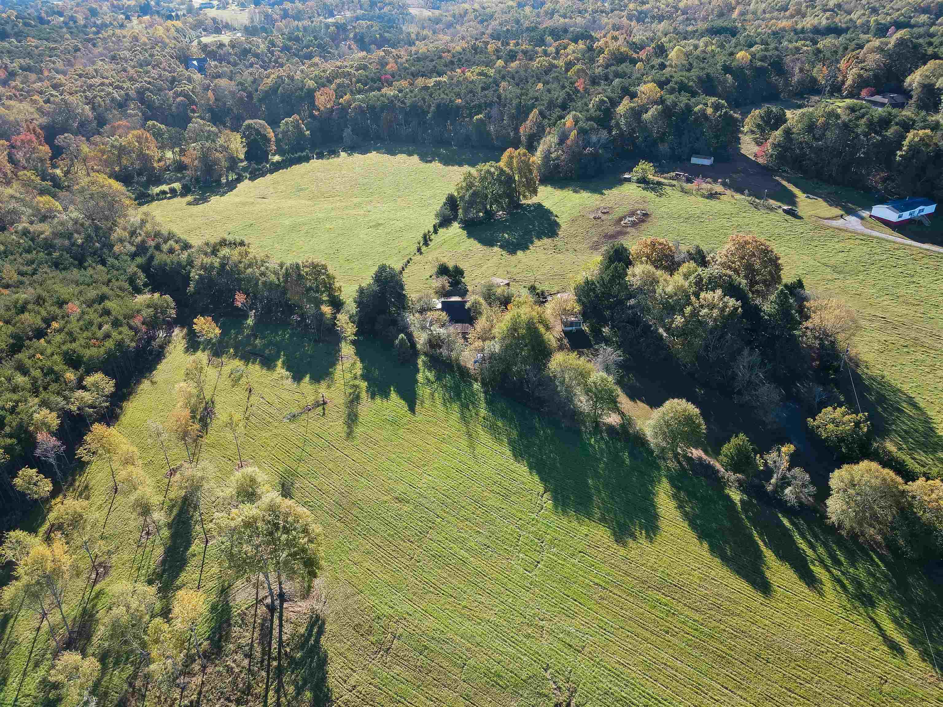 365 Waldrop Road Campobello, SC 29322 - Photo 8 of 20