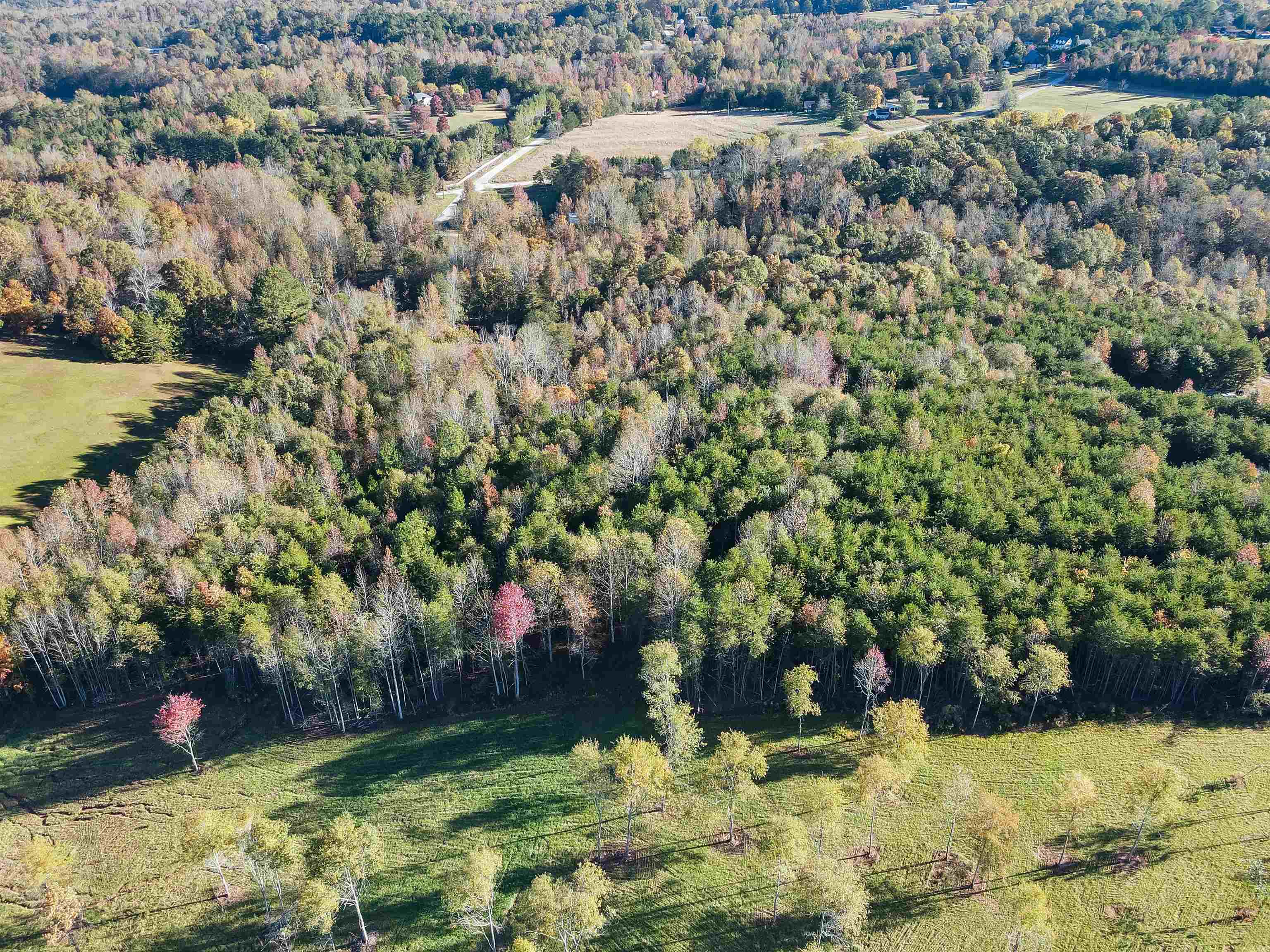 365 Waldrop Road Campobello, SC 29322 - Photo 9 of 20