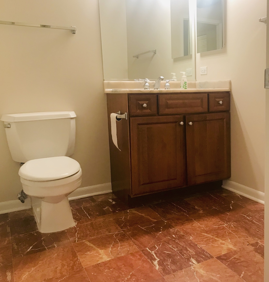 1200 West Monroe Street, Unit 618 Chicago, IL 60607 - Photo 9 of 10 a bathroom with a sink and a toilet