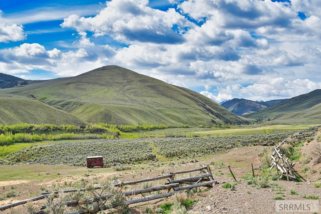 548 Hayden Creek Road Lemhi, ID 83465 - Photo 31 of 57