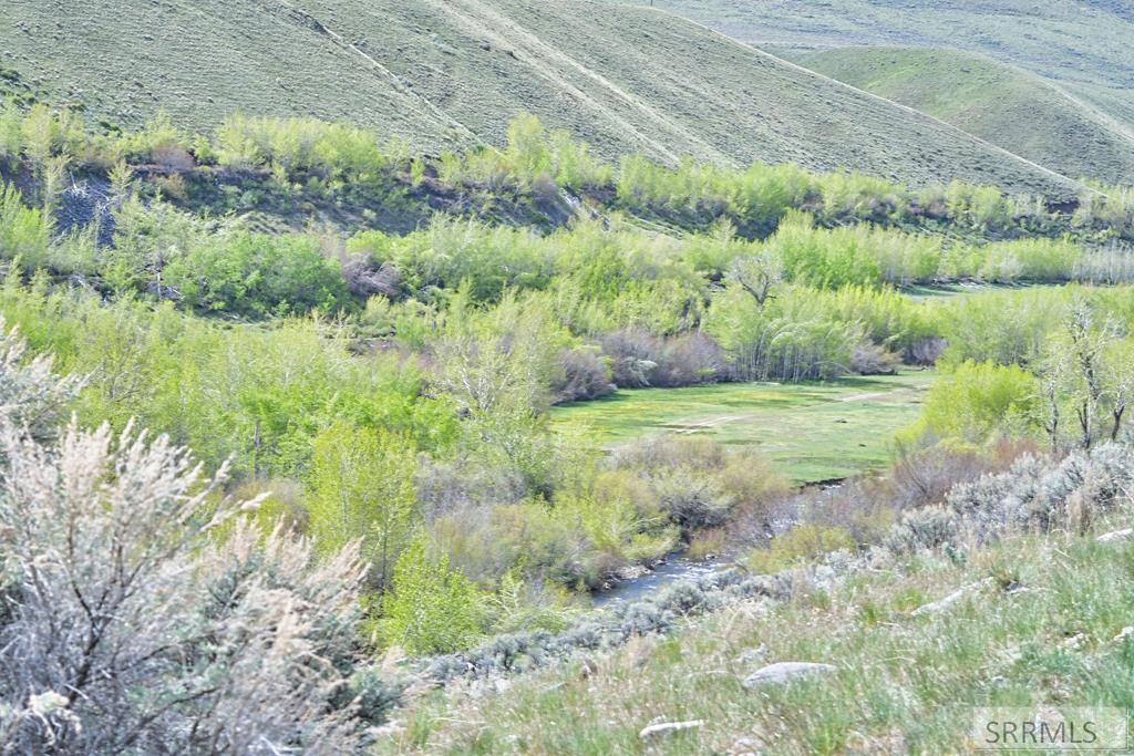 548 Hayden Creek Road Lemhi, ID 83465 - Photo 35 of 57