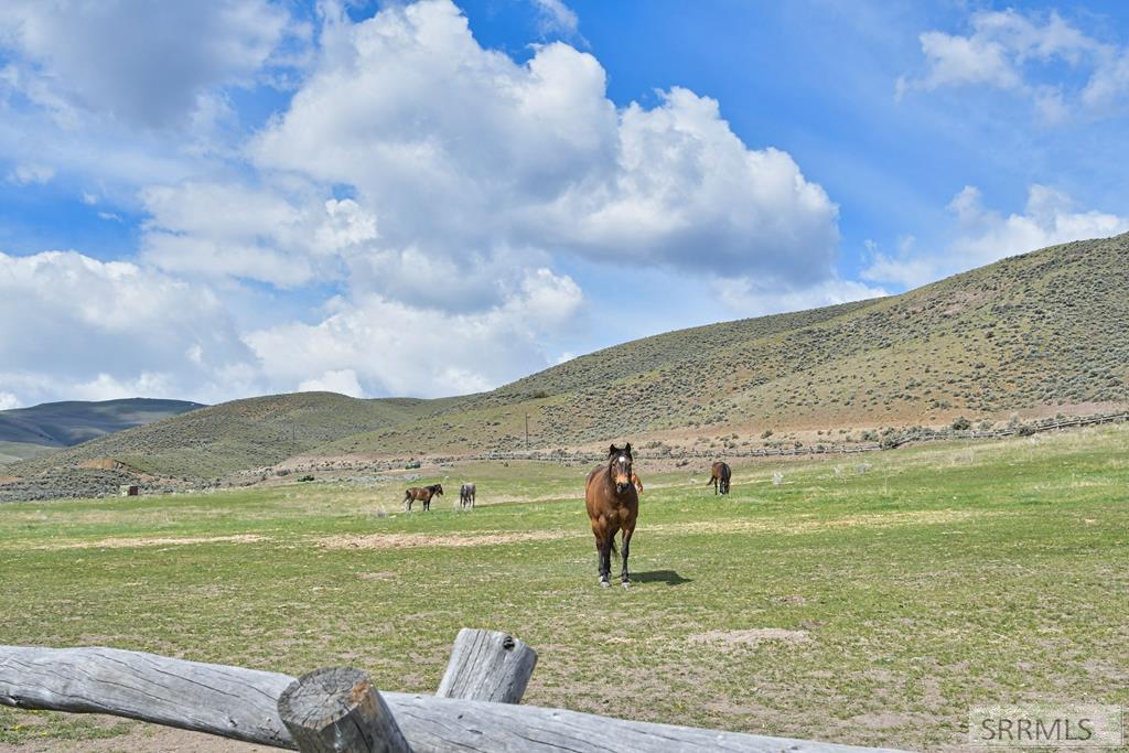 548 Hayden Creek Road Lemhi, ID 83465 - Photo 43 of 57