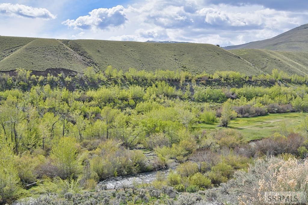 548 Hayden Creek Road Lemhi, ID 83465 - Photo 46 of 57