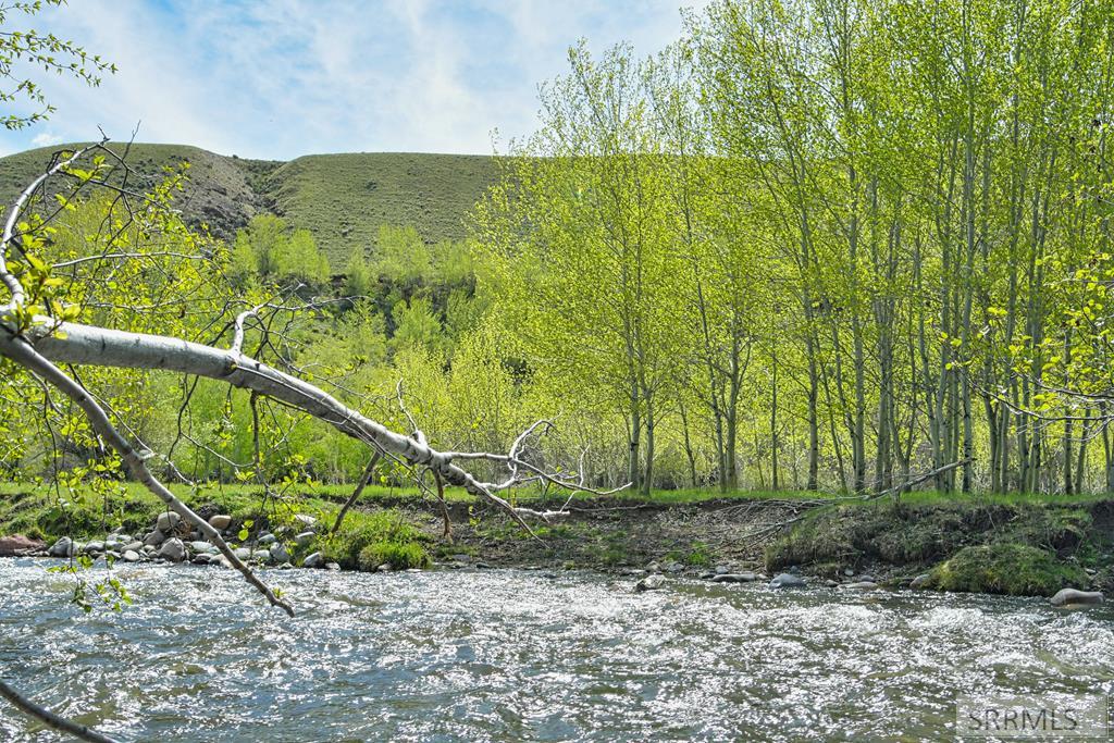 548 Hayden Creek Road Lemhi, ID 83465 - Photo 49 of 57