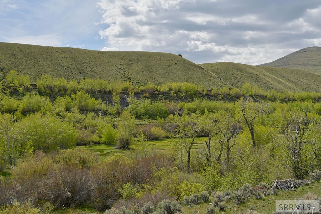 548 Hayden Creek Road Lemhi, ID 83465 - Photo 50 of 57