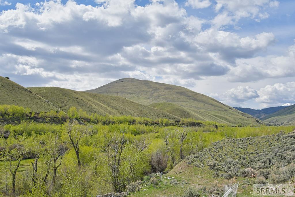 548 Hayden Creek Road Lemhi, ID 83465 - Photo 51 of 57