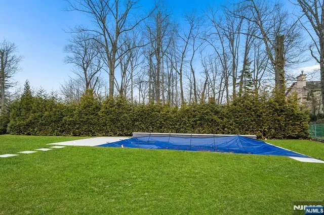 a view of green field with trees in the background