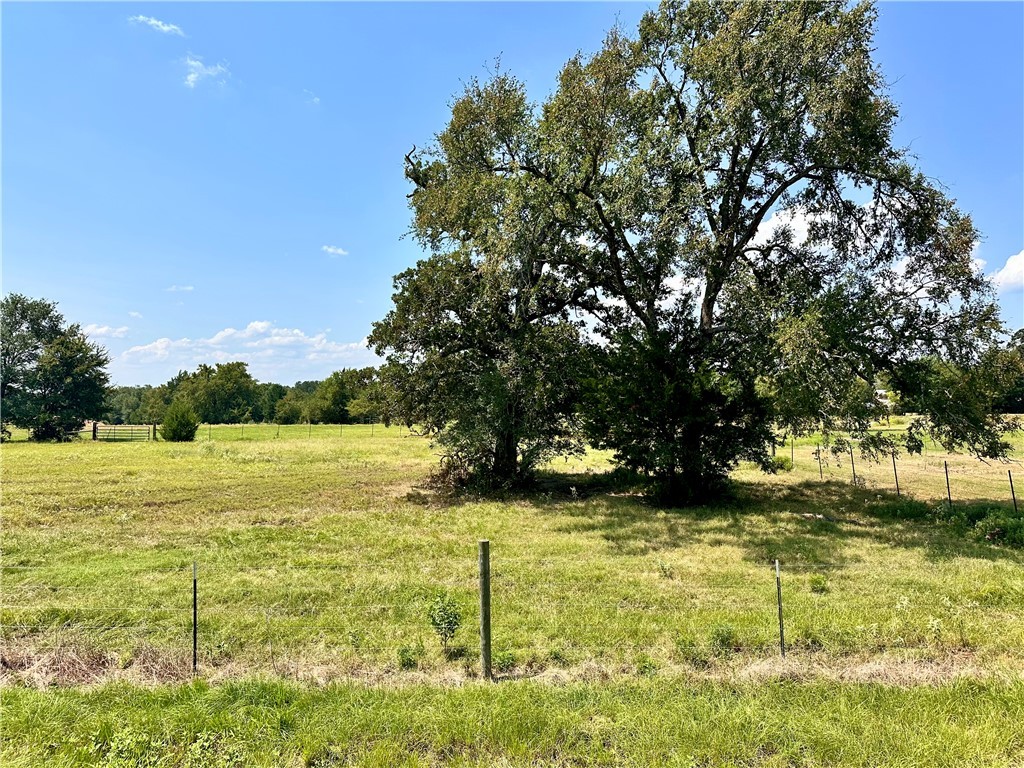 a view of yard with green space