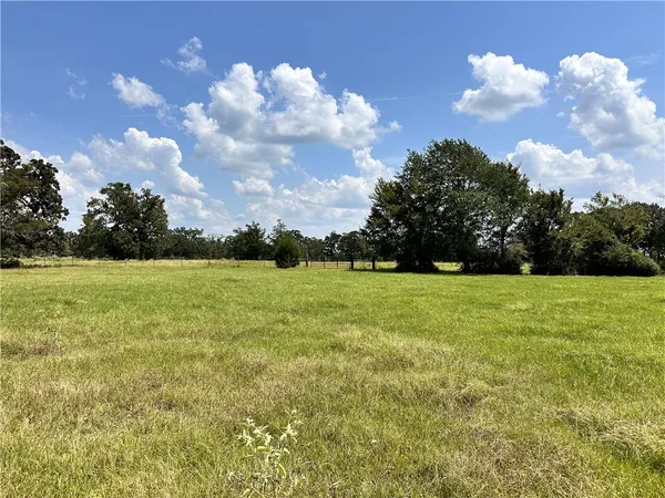 a view of a field with an trees in the background