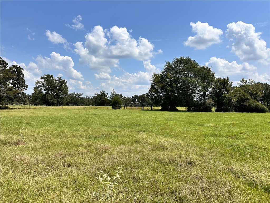 Tbd Tbd William Lane Bryan, TX 77808 - Photo 14 of 18 a view of a golf course with basketball court