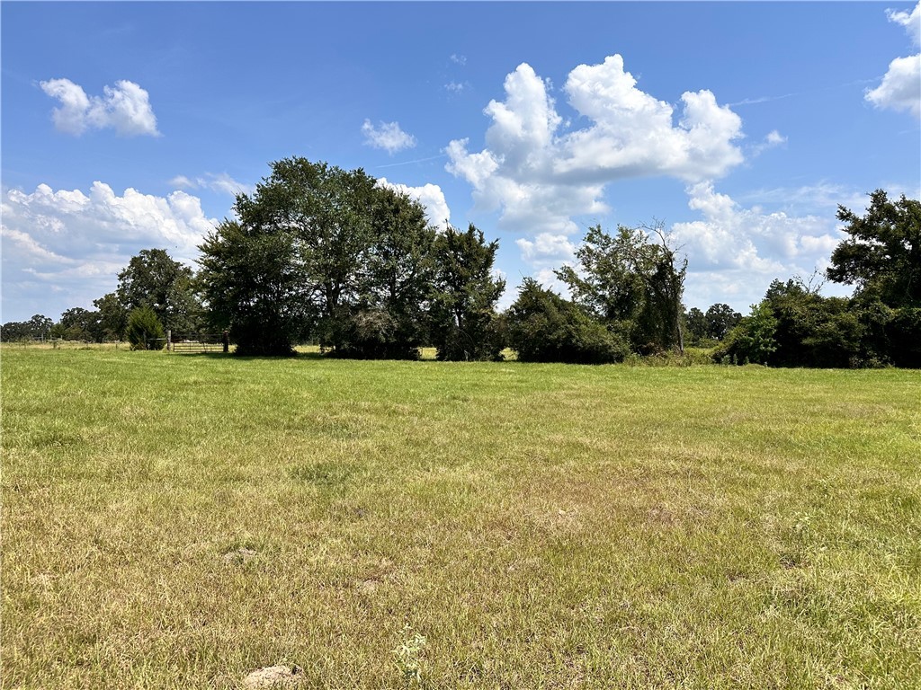 Tbd Tbd William Lane Bryan, TX 77808 - Photo 15 of 18 a view of a garden with a building in the background