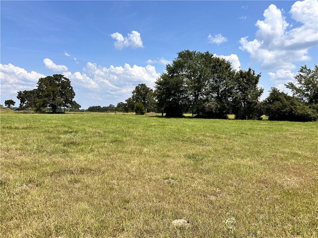 Tbd Tbd William Lane Bryan, TX 77808 - Photo 16 of 18 a view of a field with an trees in the background