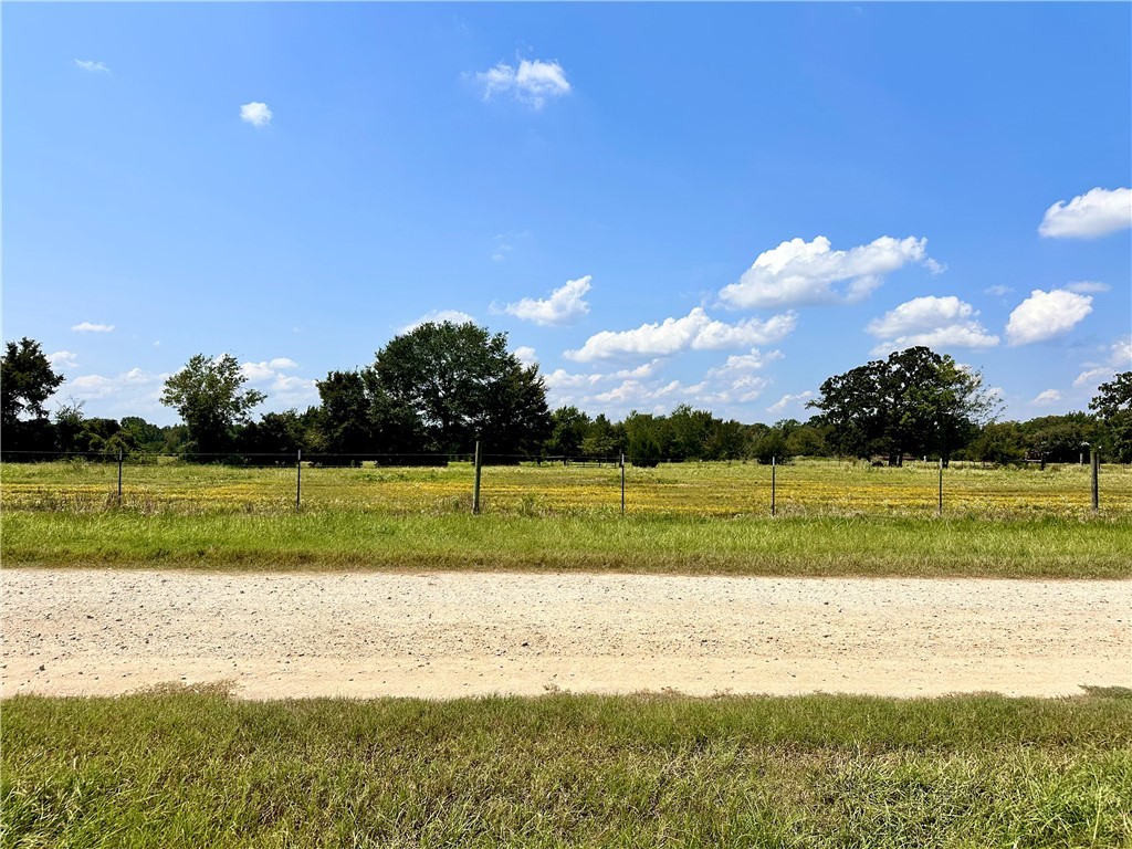 Tbd Tbd William Lane Bryan, TX 77808 - Photo 3 of 18 a view of a golf course with a lake