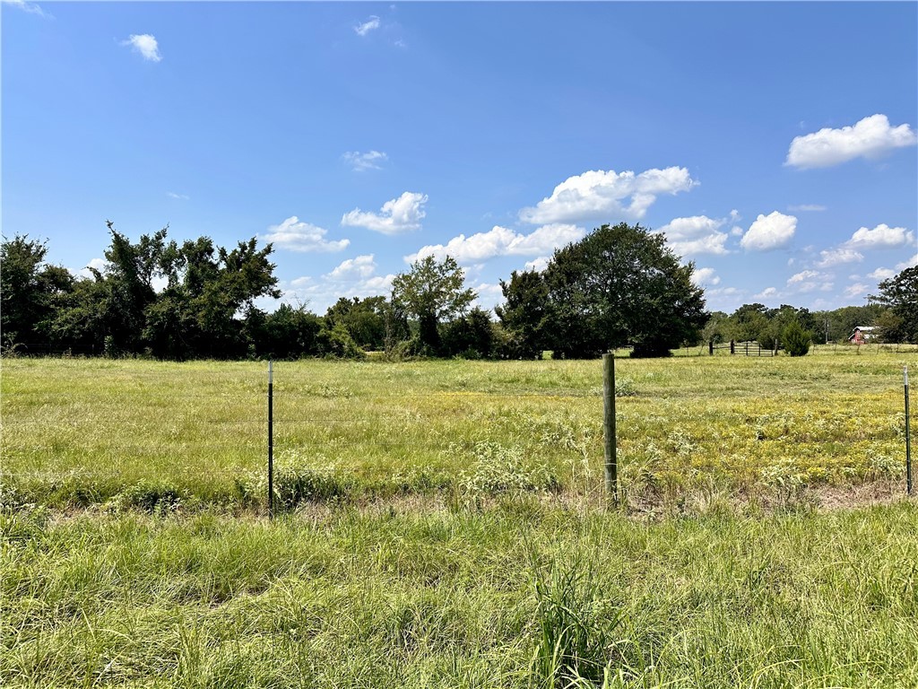Tbd Tbd William Lane Bryan, TX 77808 - Photo 9 of 18 a view of a garden with a slide