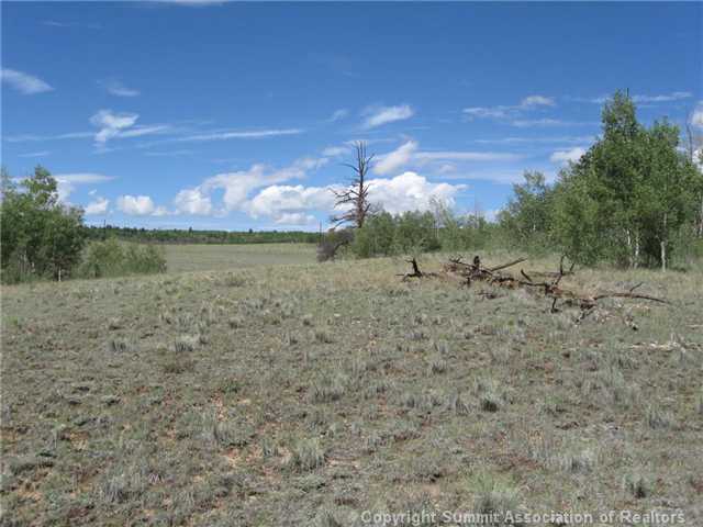 163 Mannlicher Road Como, CO 80432 - Photo 6 of 10 Land.