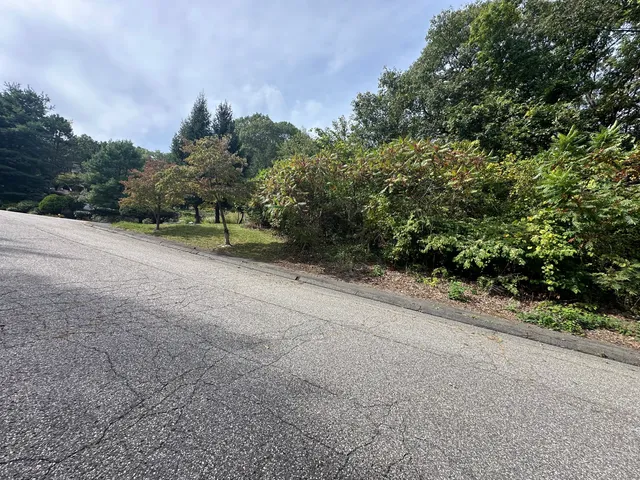 a view of a field with trees in background