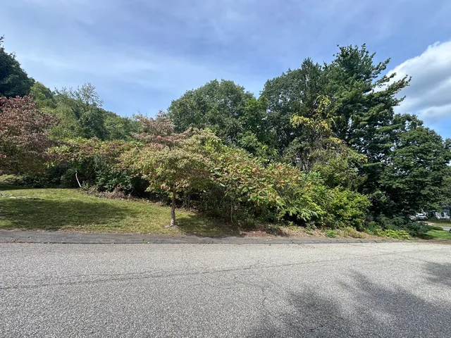 a view of a yard with a tree