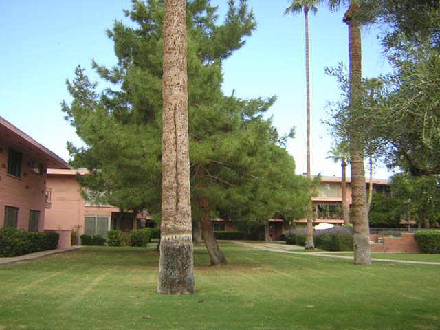 146 East Coronado Road, Unit 38 Phoenix, AZ 85004 - Photo 1 of 1 Primary Photo