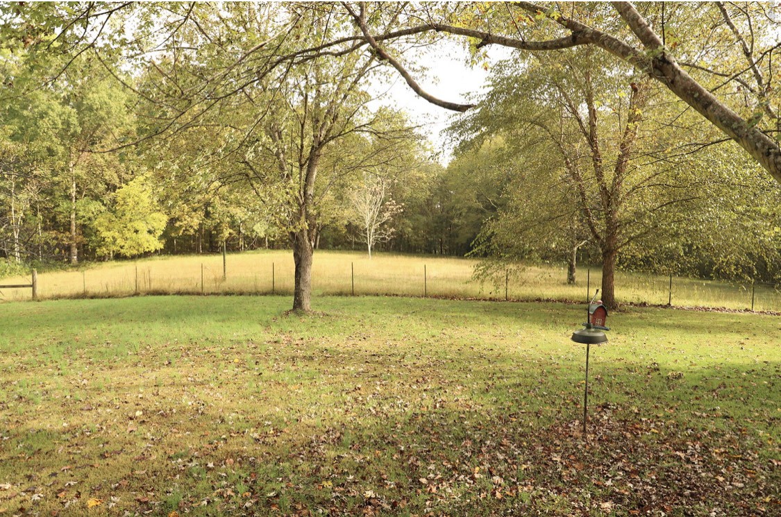 913 Maddox Road Centerville, TN 37033 - Photo 13 of 20 a view of yard