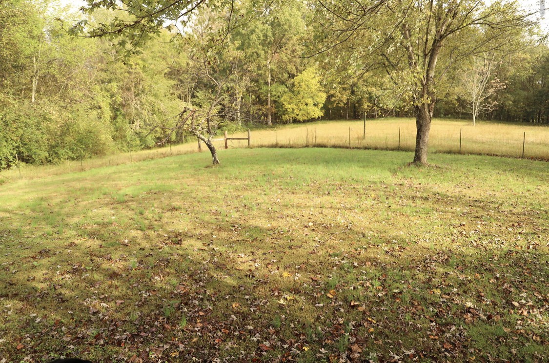 913 Maddox Road Centerville, TN 37033 - Photo 15 of 20 a view of yard with swimming pool
