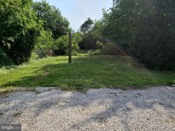 a view of outdoor space with trees all around