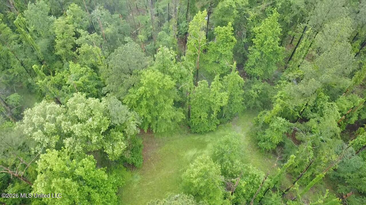 Ford Lane Crystal Springs, MS 39059 - Photo 4 of 15 2026-04-30-12-30-26-484