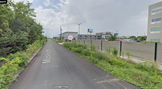 a view of a garden with a pathway