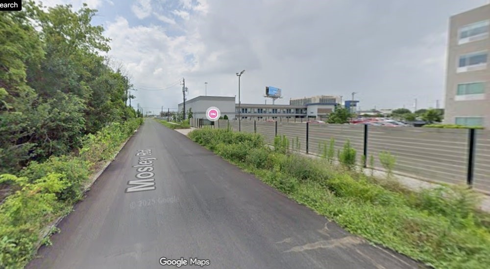 a view of a garden with a pathway