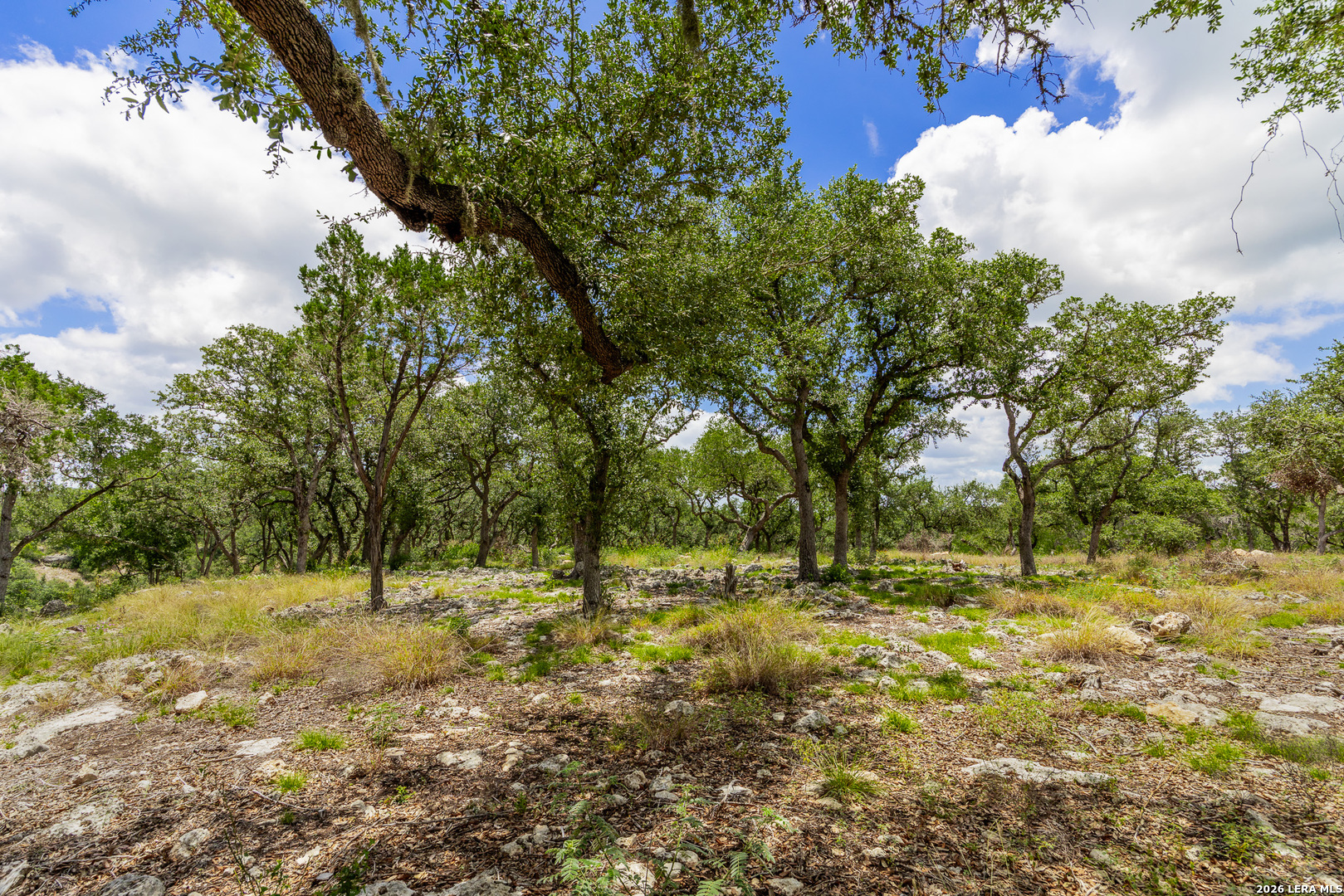 7 Hidden Springs Spring Branch, TX 78070 - Photo 13 of 44 Gallery Image 13