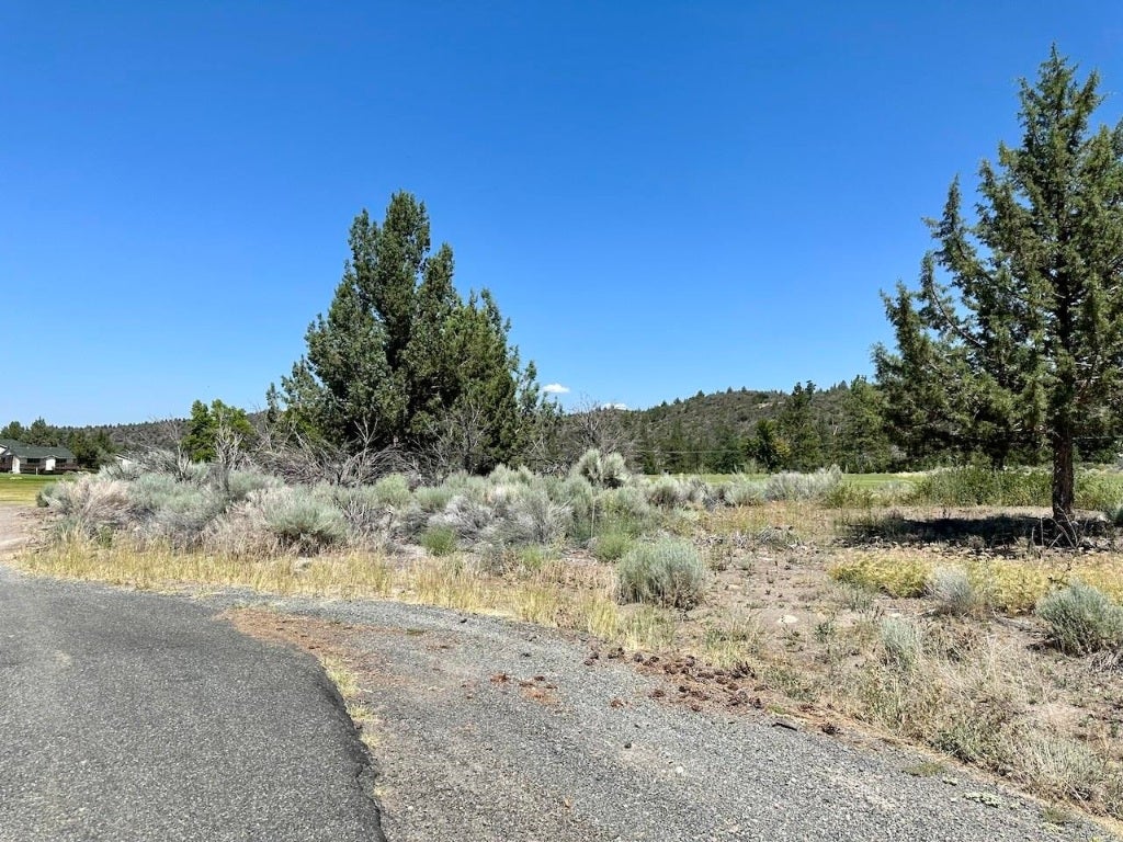 Lot 259 Lot Road Weed, CA 96094 - Photo 7 of 12 Gallery Image 7