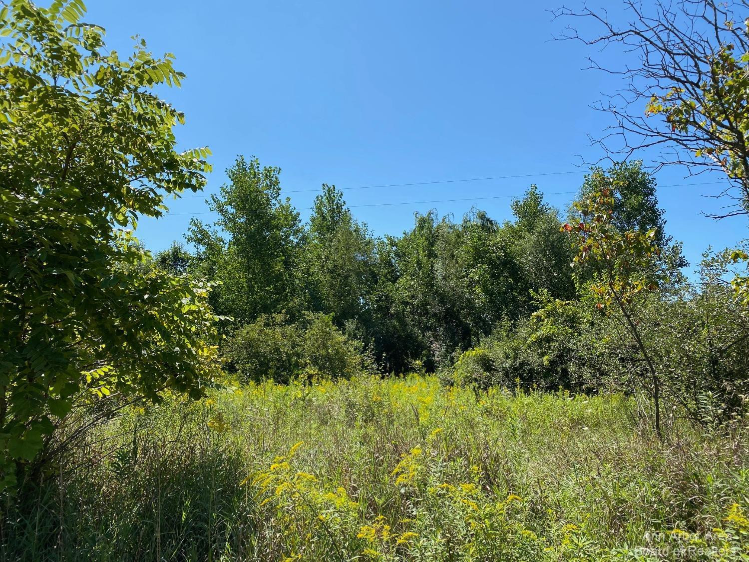 20181 Waldo Road Manchester, MI 48158 - Photo 9 of 9 Photo 9