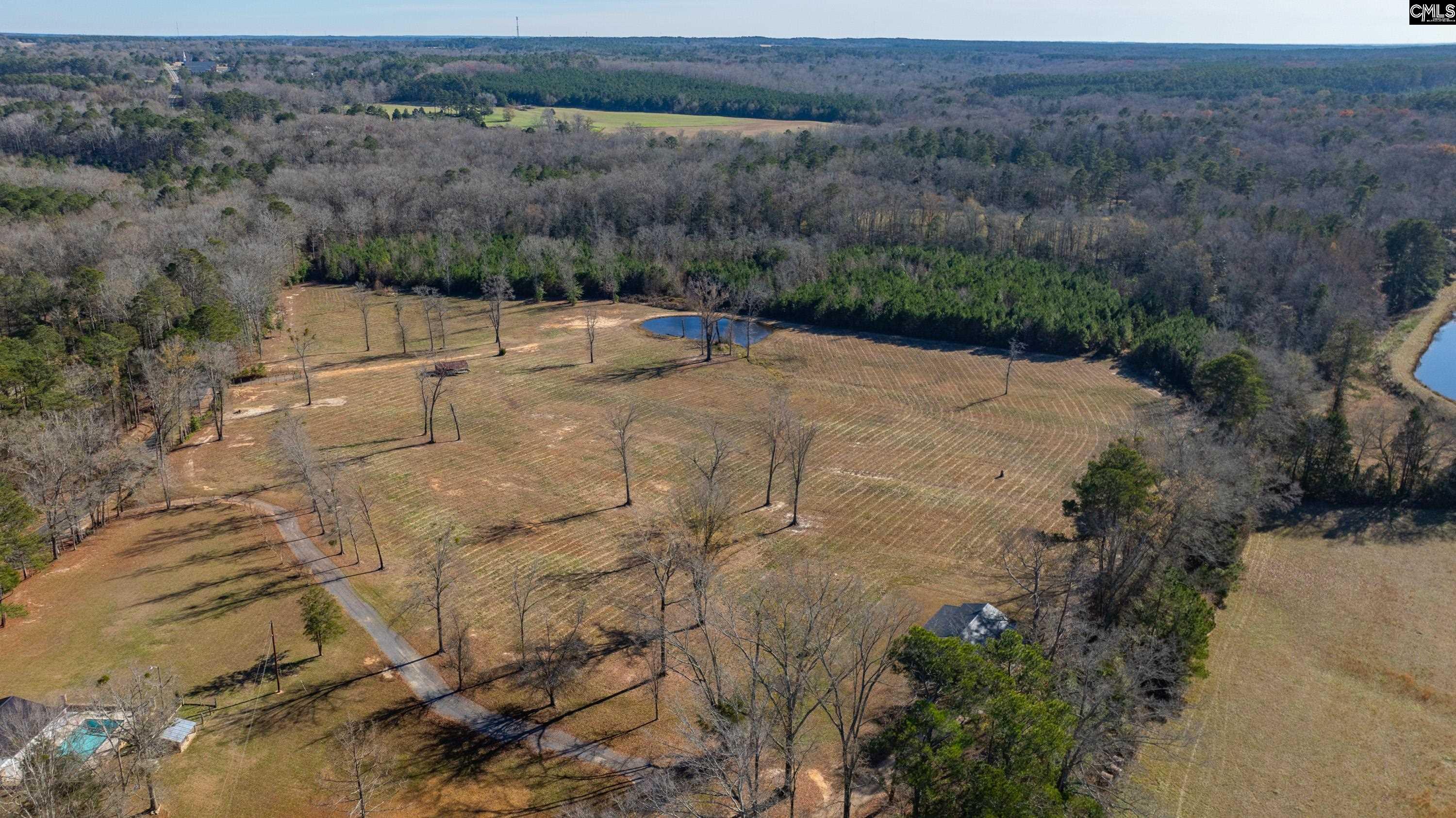 0 Cedar Grove Road Leesville, SC 29070 - Photo 7 of 14