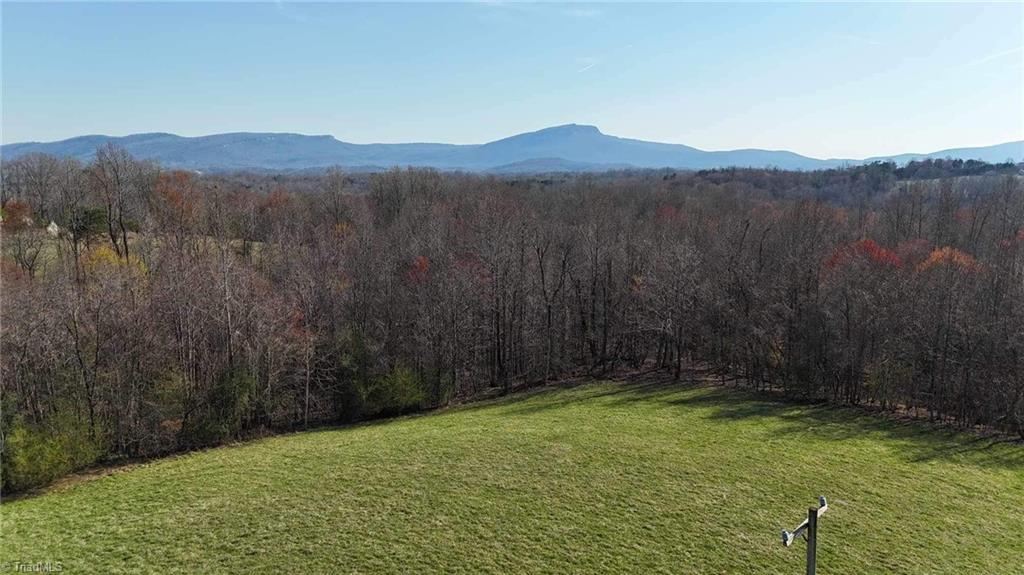 Tbd Ellis Lawson Road Danbury, NC 27016 - Photo 1 of 49 Gallery Image 1