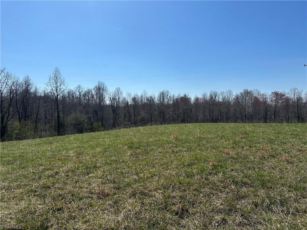 Tbd Ellis Lawson Road Danbury, NC 27016 - Photo 12 of 49 Gallery Image 12