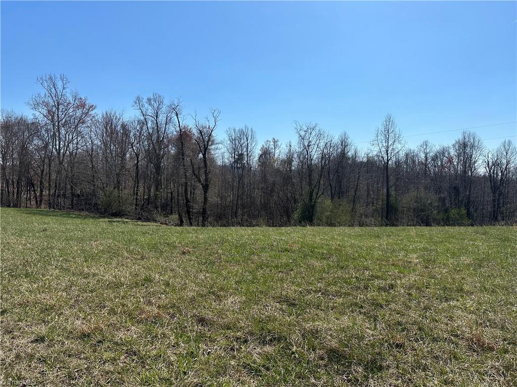 Tbd Ellis Lawson Road Danbury, NC 27016 - Photo 13 of 49 Gallery Image 13