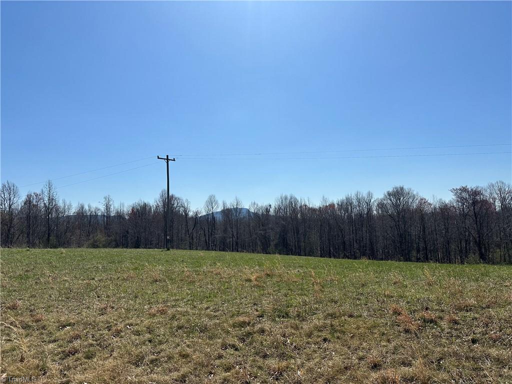 Tbd Ellis Lawson Road Danbury, NC 27016 - Photo 14 of 49 Gallery Image 14