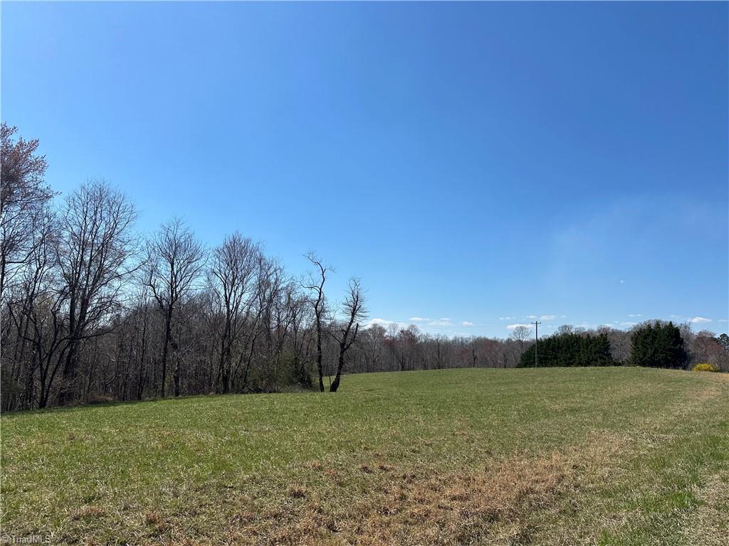Tbd Ellis Lawson Road Danbury, NC 27016 - Photo 15 of 49 Gallery Image 15