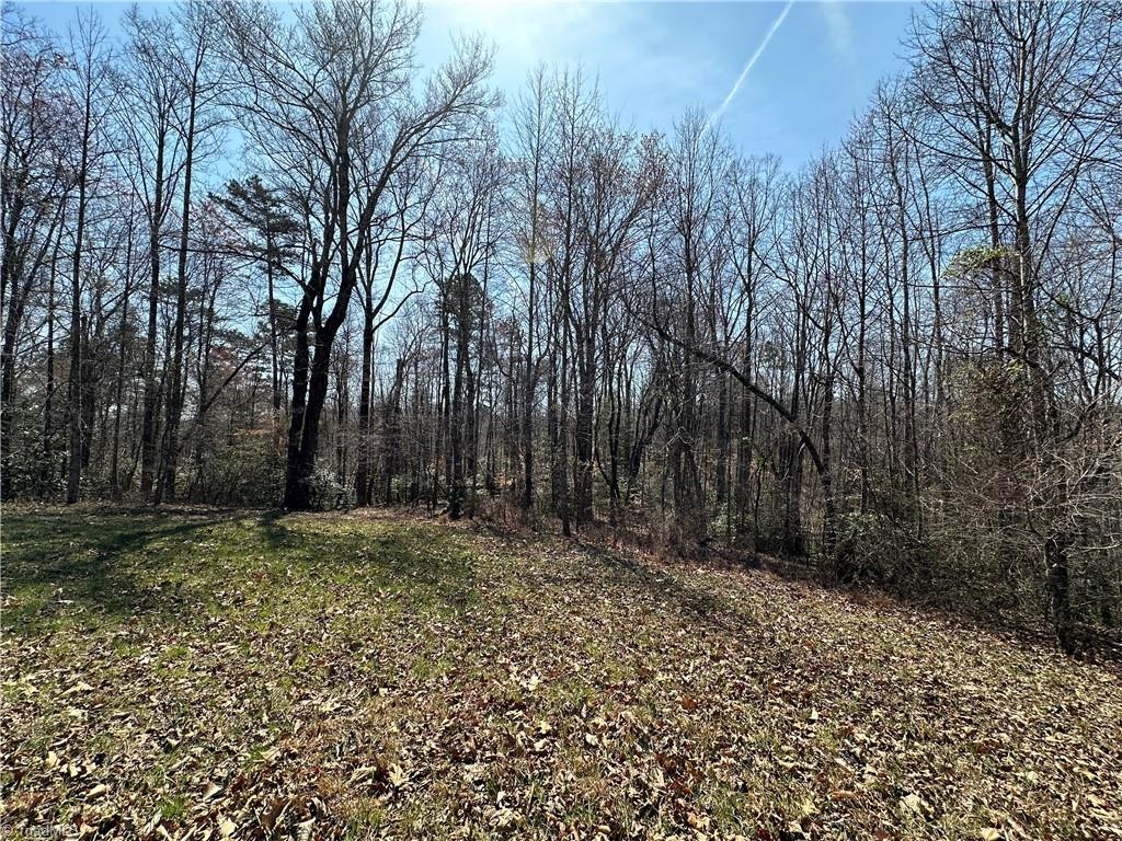 Tbd Ellis Lawson Road Danbury, NC 27016 - Photo 16 of 49 Gallery Image 16