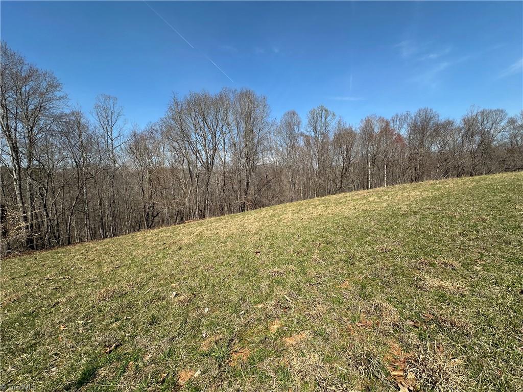 Tbd Ellis Lawson Road Danbury, NC 27016 - Photo 17 of 49 Gallery Image 17