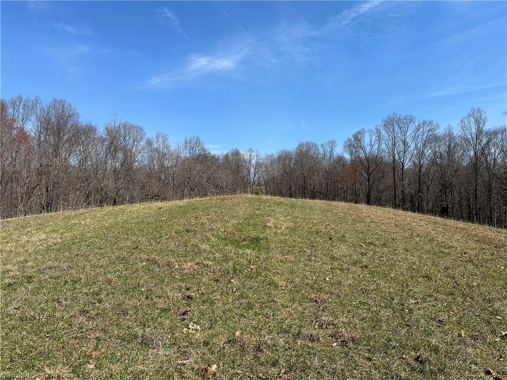 Tbd Ellis Lawson Road Danbury, NC 27016 - Photo 18 of 49 Gallery Image 18