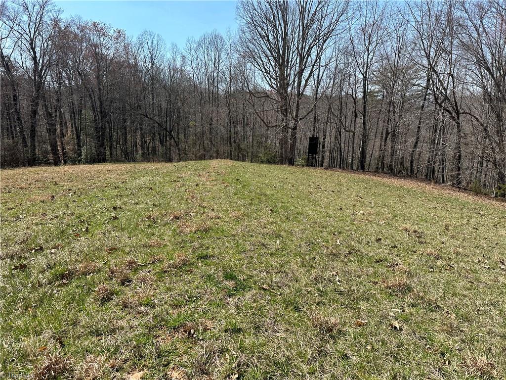 Tbd Ellis Lawson Road Danbury, NC 27016 - Photo 19 of 49 Gallery Image 19