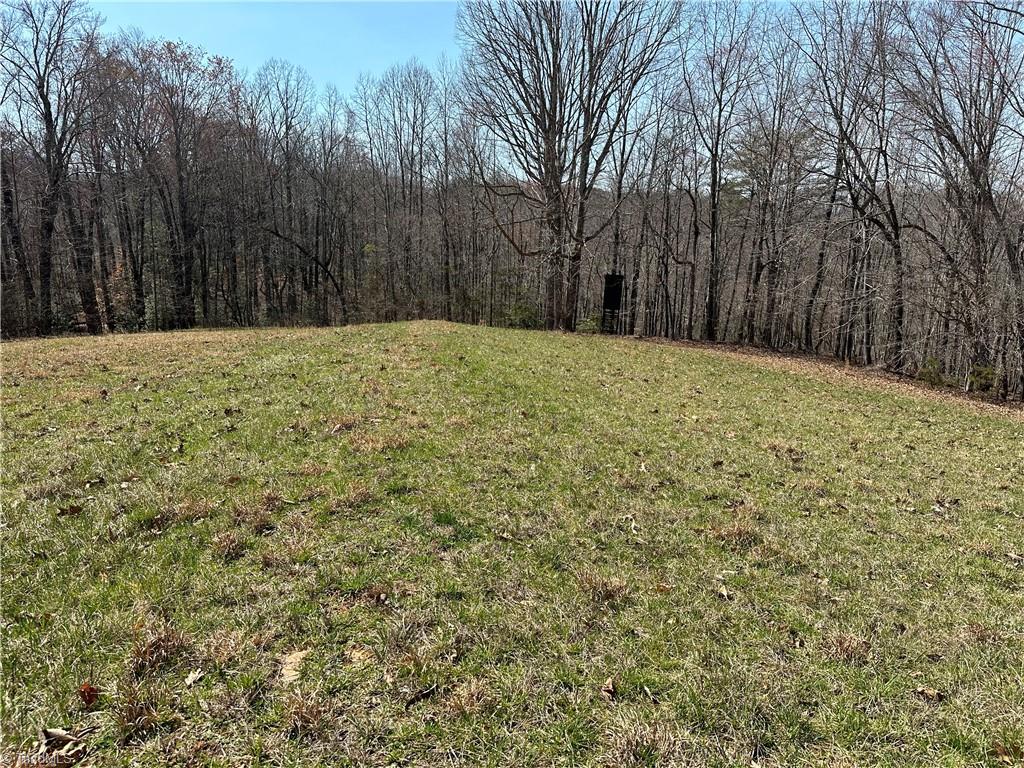 Tbd Ellis Lawson Road Danbury, NC 27016 - Photo 20 of 49 Gallery Image 20