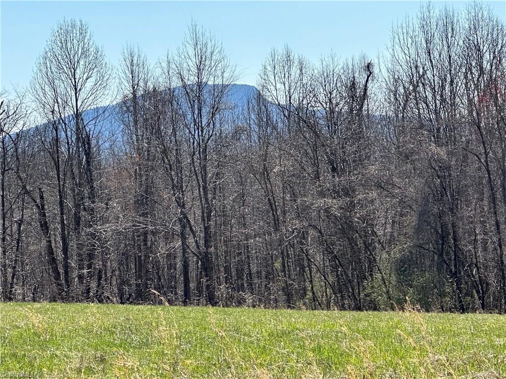 Tbd Ellis Lawson Road Danbury, NC 27016 - Photo 2 of 49 Gallery Image 2