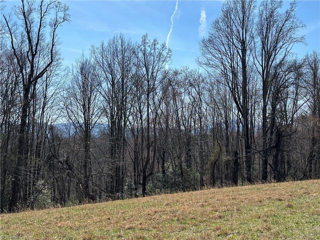 Tbd Ellis Lawson Road Danbury, NC 27016 - Photo 21 of 49 Gallery Image 21