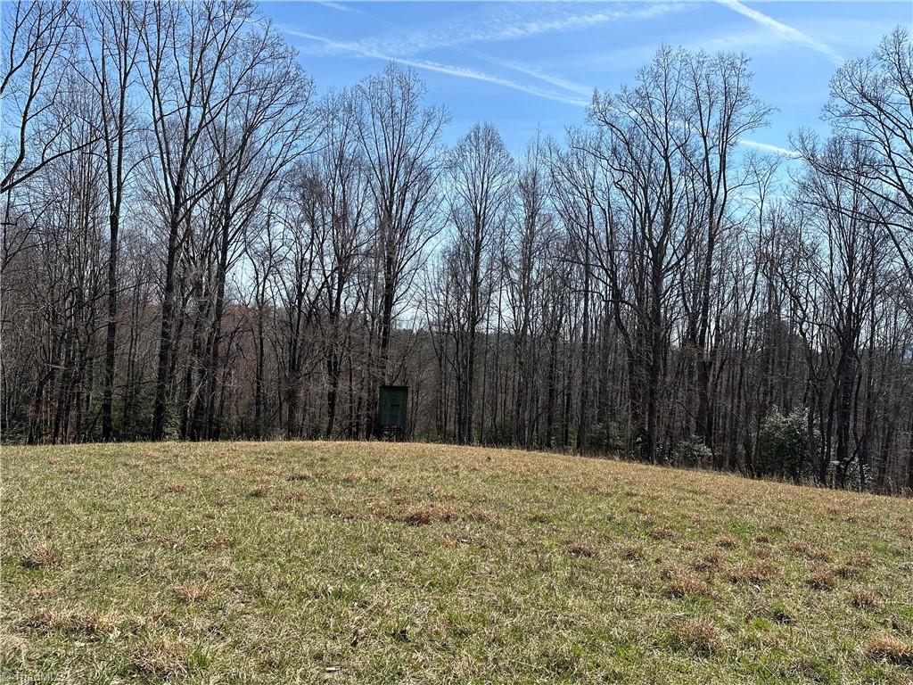 Tbd Ellis Lawson Road Danbury, NC 27016 - Photo 22 of 49 Gallery Image 22