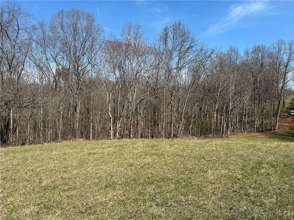 Tbd Ellis Lawson Road Danbury, NC 27016 - Photo 23 of 49 Gallery Image 23
