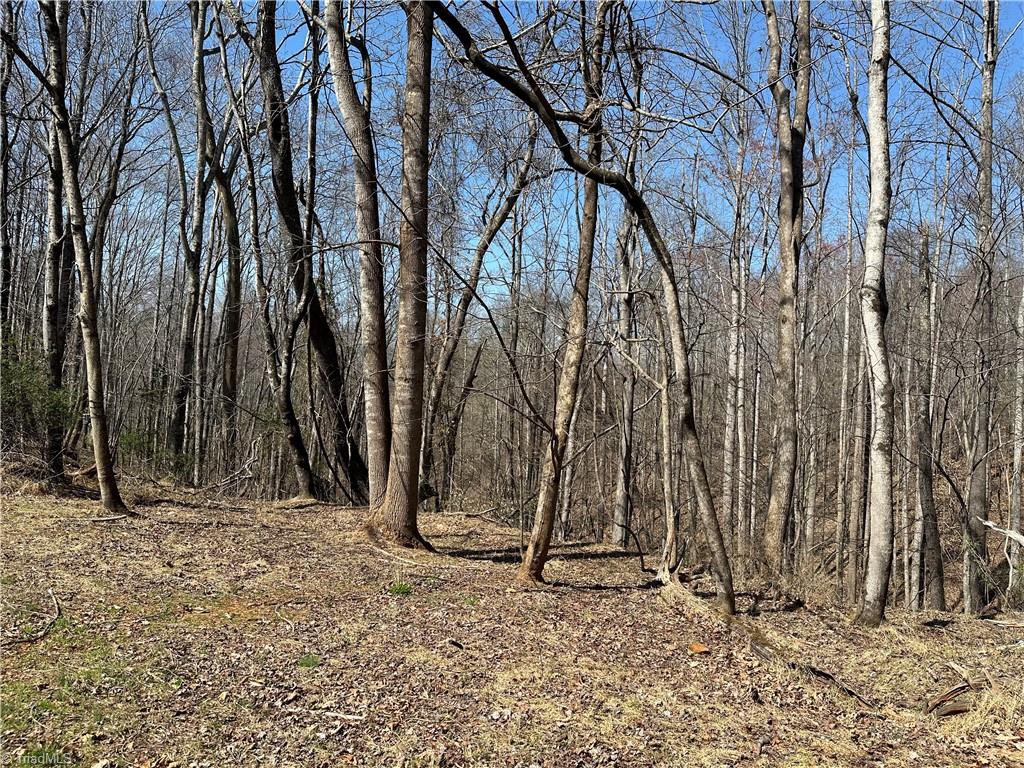 Tbd Ellis Lawson Road Danbury, NC 27016 - Photo 24 of 49 Gallery Image 24