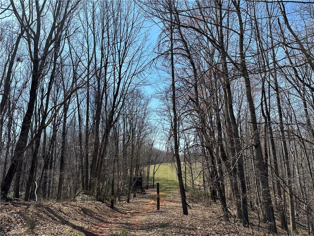 Tbd Ellis Lawson Road Danbury, NC 27016 - Photo 26 of 49 Gallery Image 26